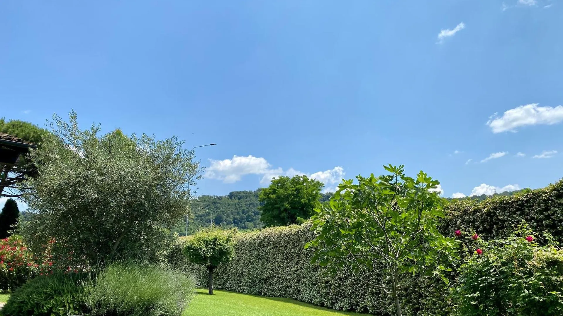 Pozzo Di Mezzo B&B 博洛尼亚